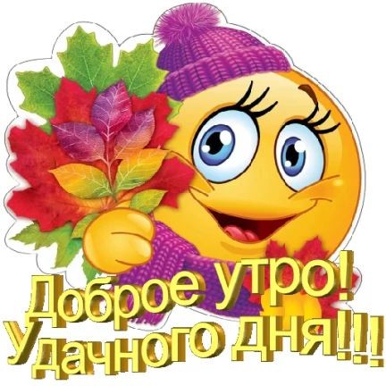 Киса в LOOKY — публикация