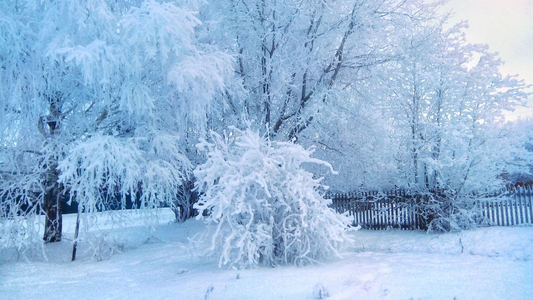 Сразу видно, что у нас пришла весна.

#деревня #красота #пейзаж
#фотография #весна #природа #Россия