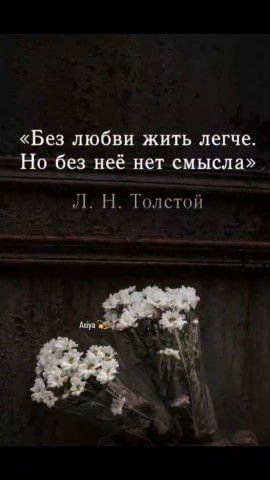 Looky_177328593767912 в LOOKY. . 