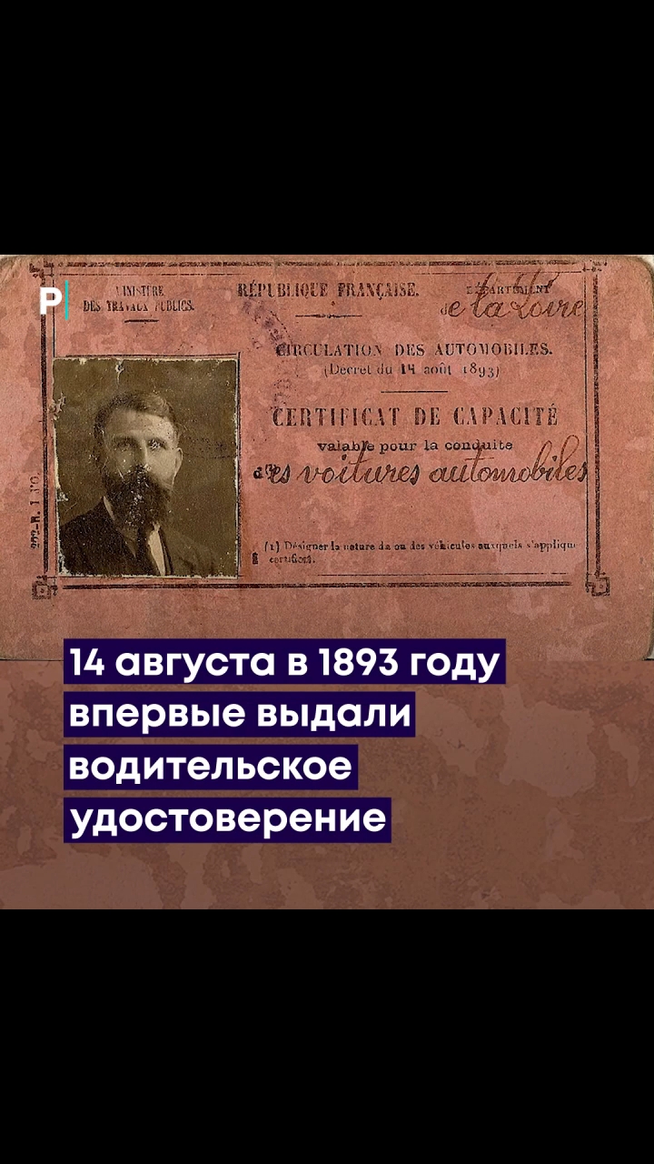 pserge61 в LOOKY. #БлоггерЛёваиК,#ПервоеВМиреВодительскоеУдостоверение,#ПрайдПроПервоеВМиреВодительскоеУдостоверение,#рыжийкот,#ориентал,#сфинкс,#чёрныйкот,#норвежскийлеснойкот,#русскоевропейскаялайка,#котики,#мыизкотограма,#RedCat,#Oriental,#Sphinx,#NorwegianForestCat,#Laika. <<ПЕРВОЕ В МИРЕ ВОДИ...