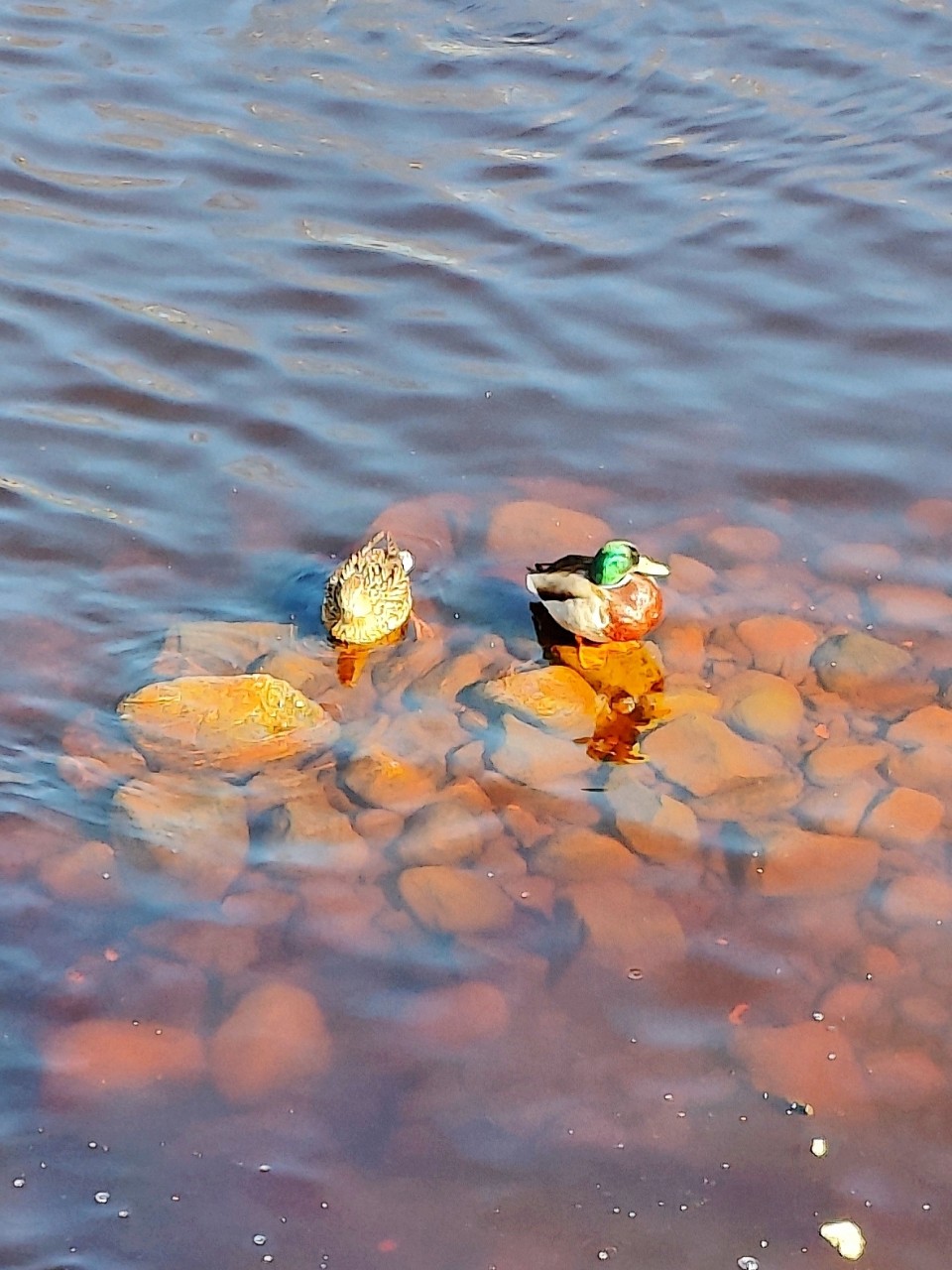 Виктор в LOOKY — фото 2
