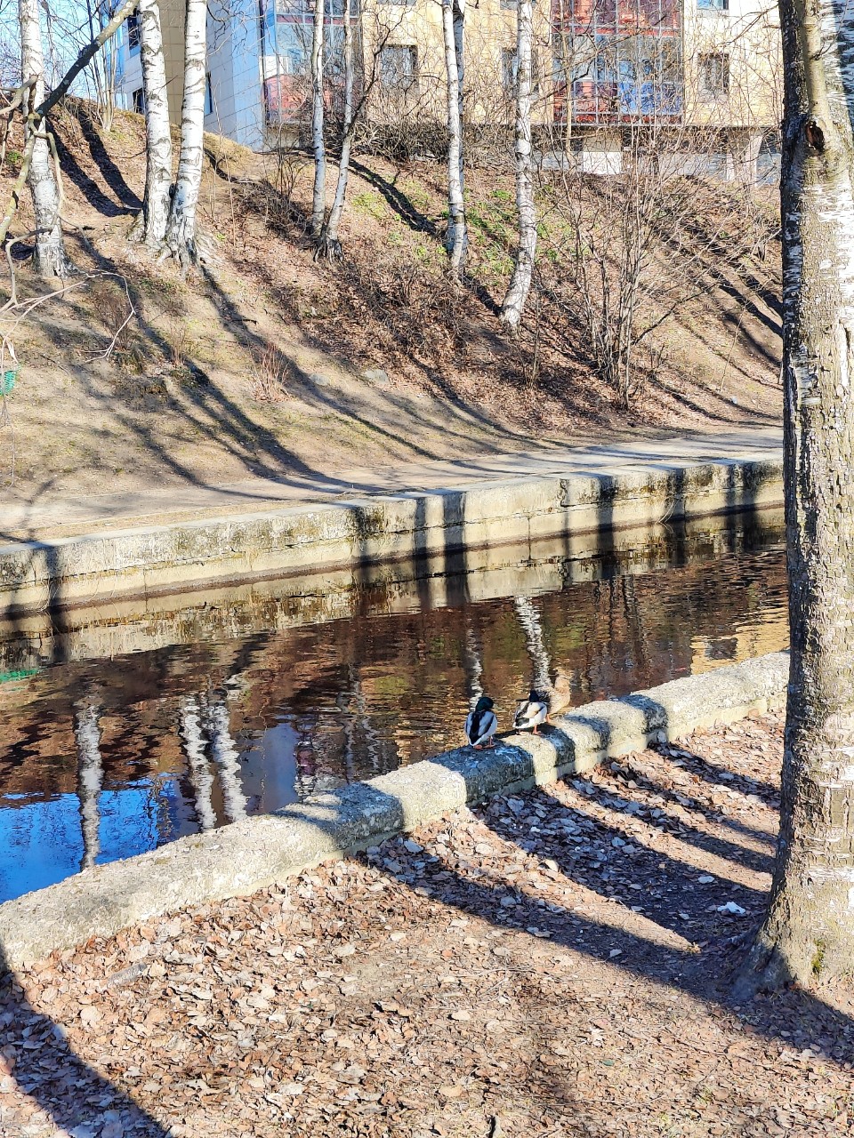 Виктор в LOOKY — фото 6