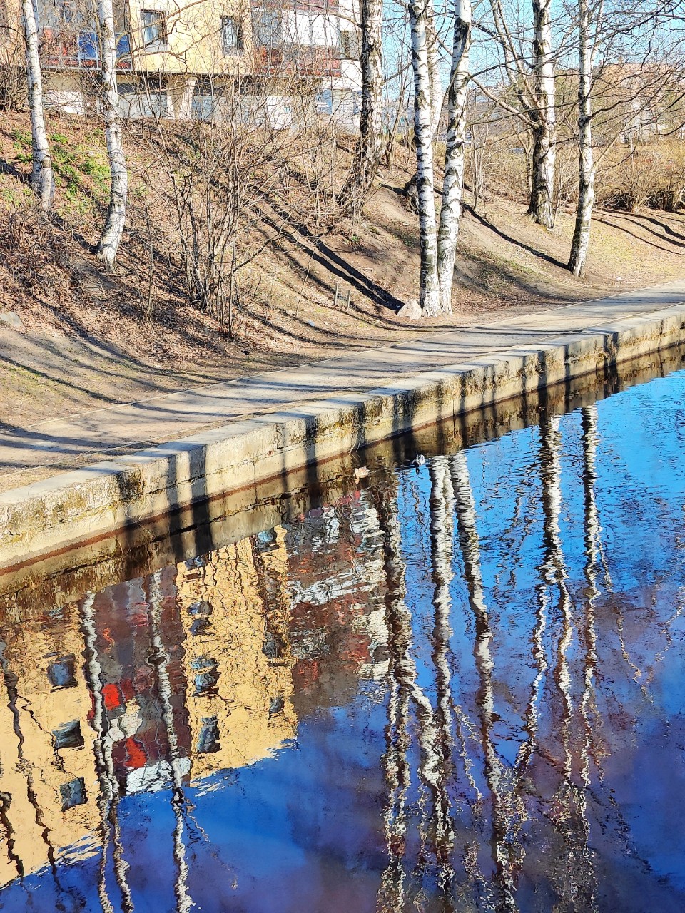 Виктор в LOOKY — фото 3