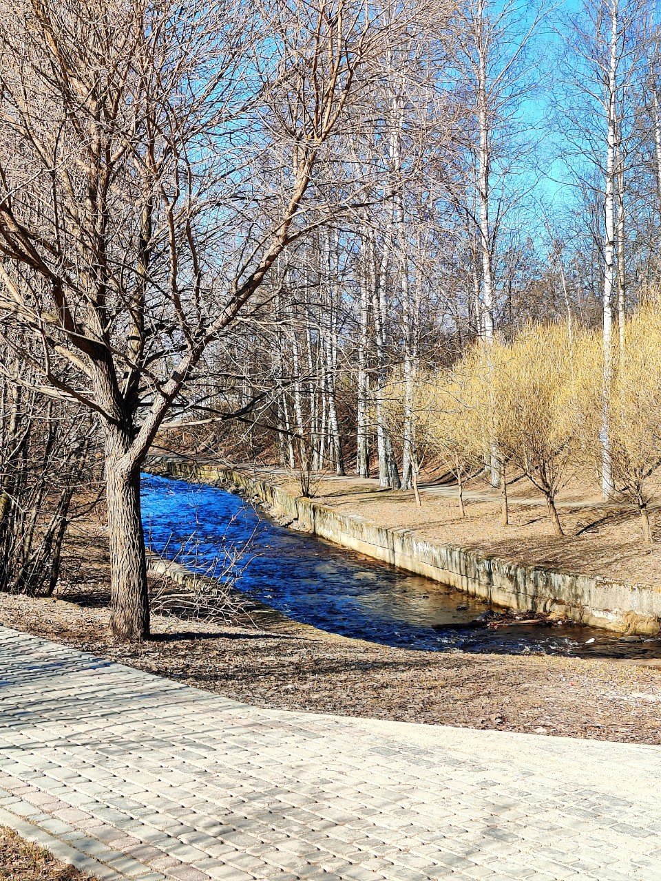 Виктор в LOOKY — фото 5