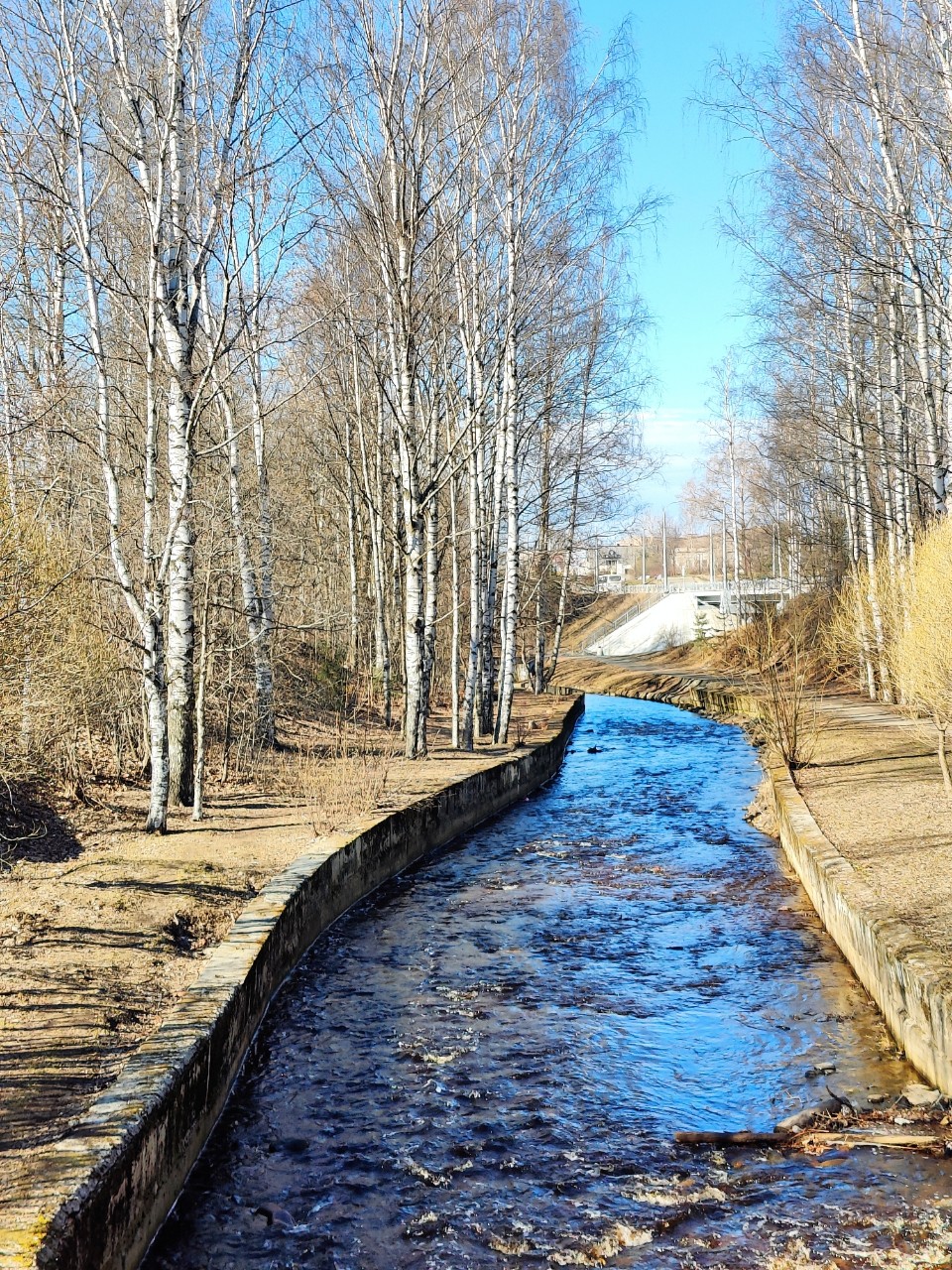 Виктор в LOOKY — фото 1