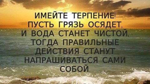 STARTUP в LOOKY. #цитатадня. [#цитаты](цитаты) #ц...