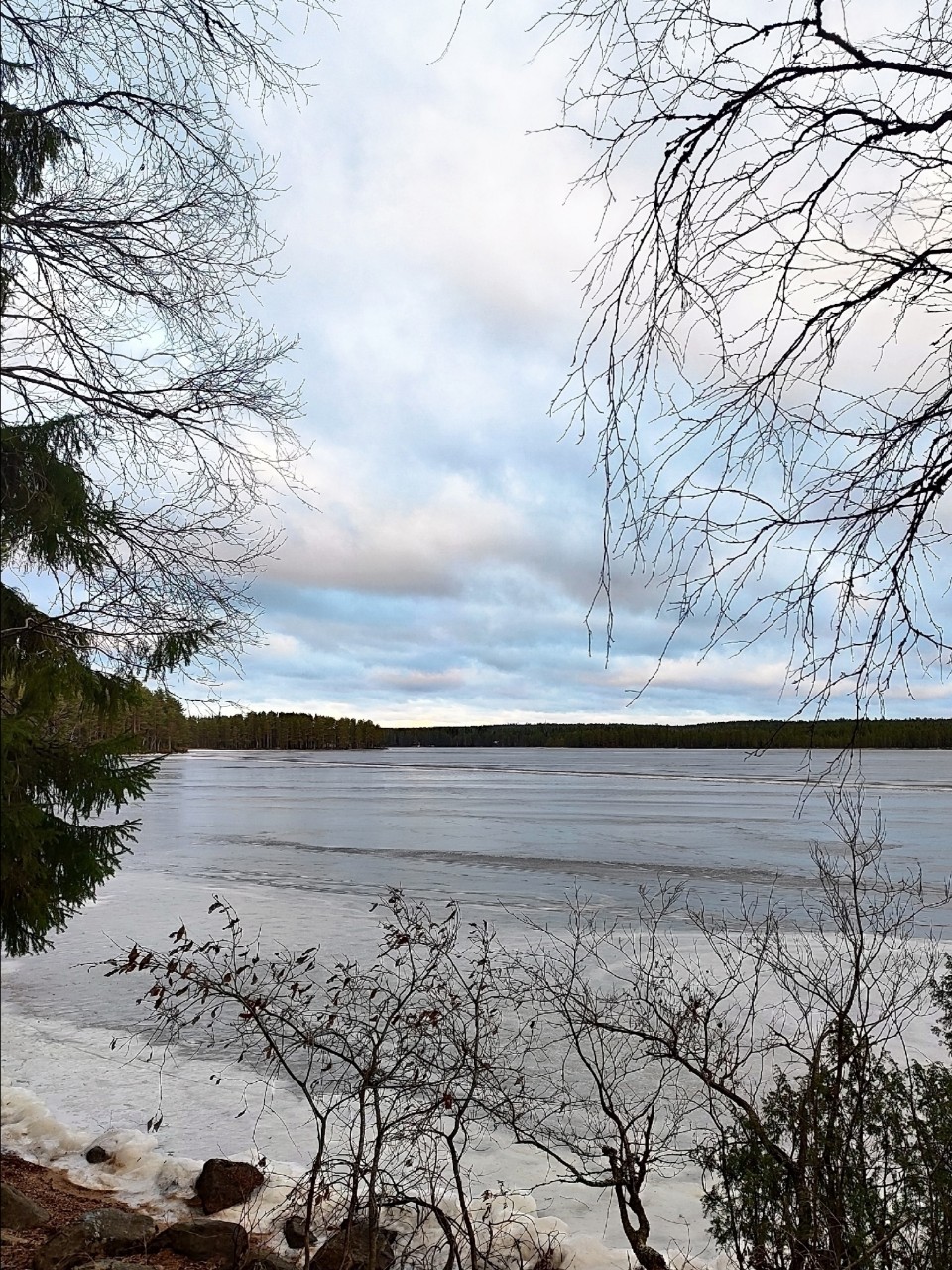 Виктор в LOOKY. #зима
#карелия,#karelia,#karjala,#живувкарелии,#природа,#природакарелии,#photonature,#naturephoto
#looky,#looky_official,#LOOKY_контент,#looky_you,#you,#looky_топ. ❄️Карелия💙Karjala❄️...