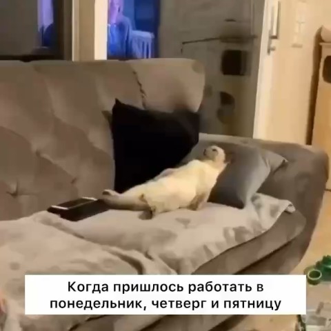  в LOOKY — Хорошего дня