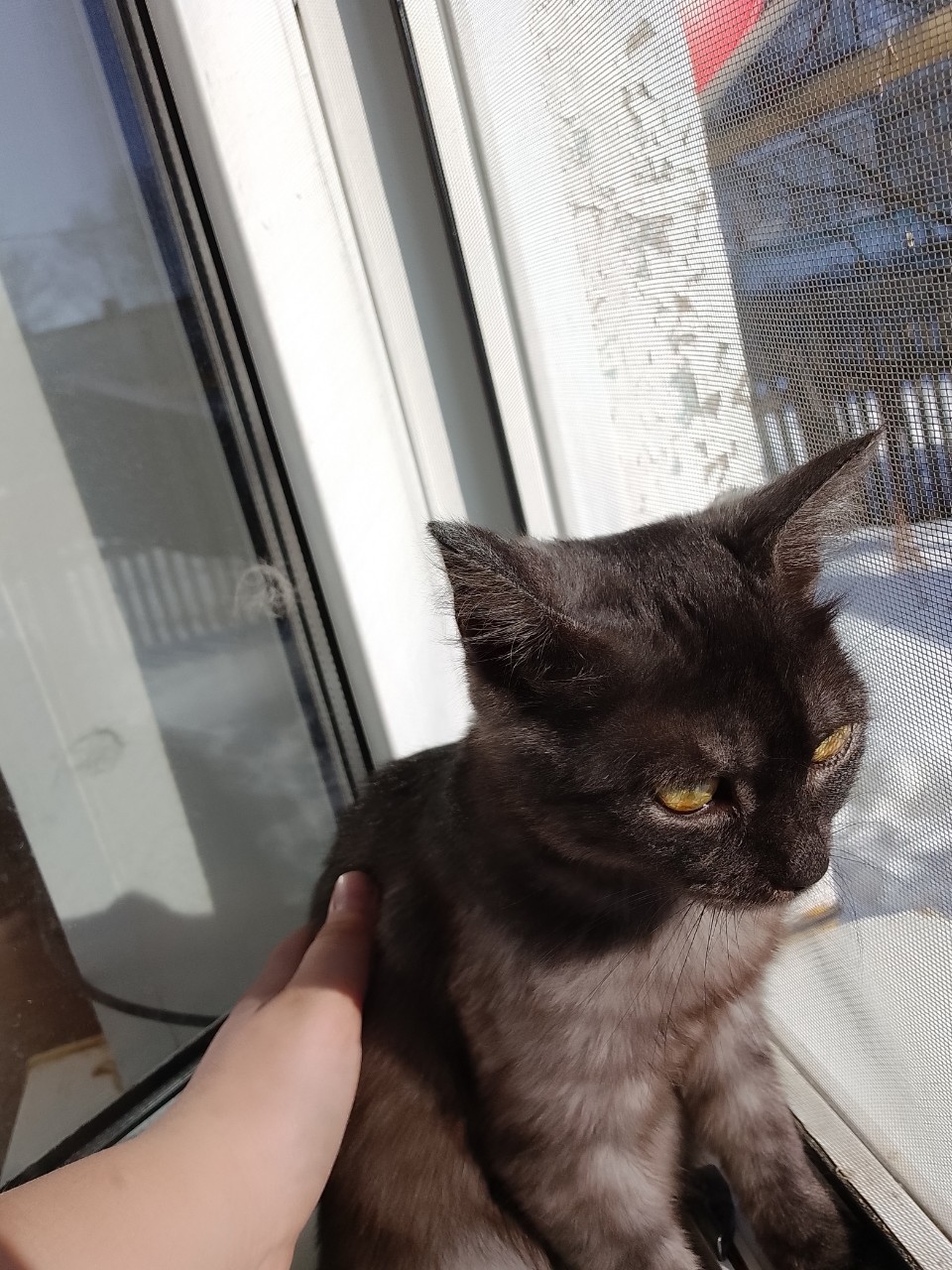 Rita Фаткуллина в LOOKY — фото 2