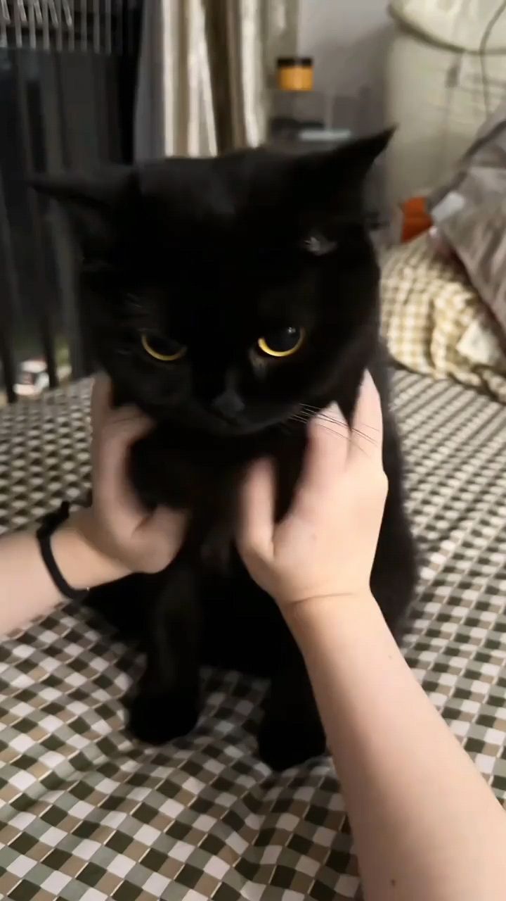 fuuny в LOOKY. . Миленький