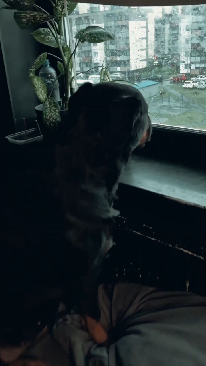 Шурупчик в LOOKY. . Грусть , печаль 🥲
[...