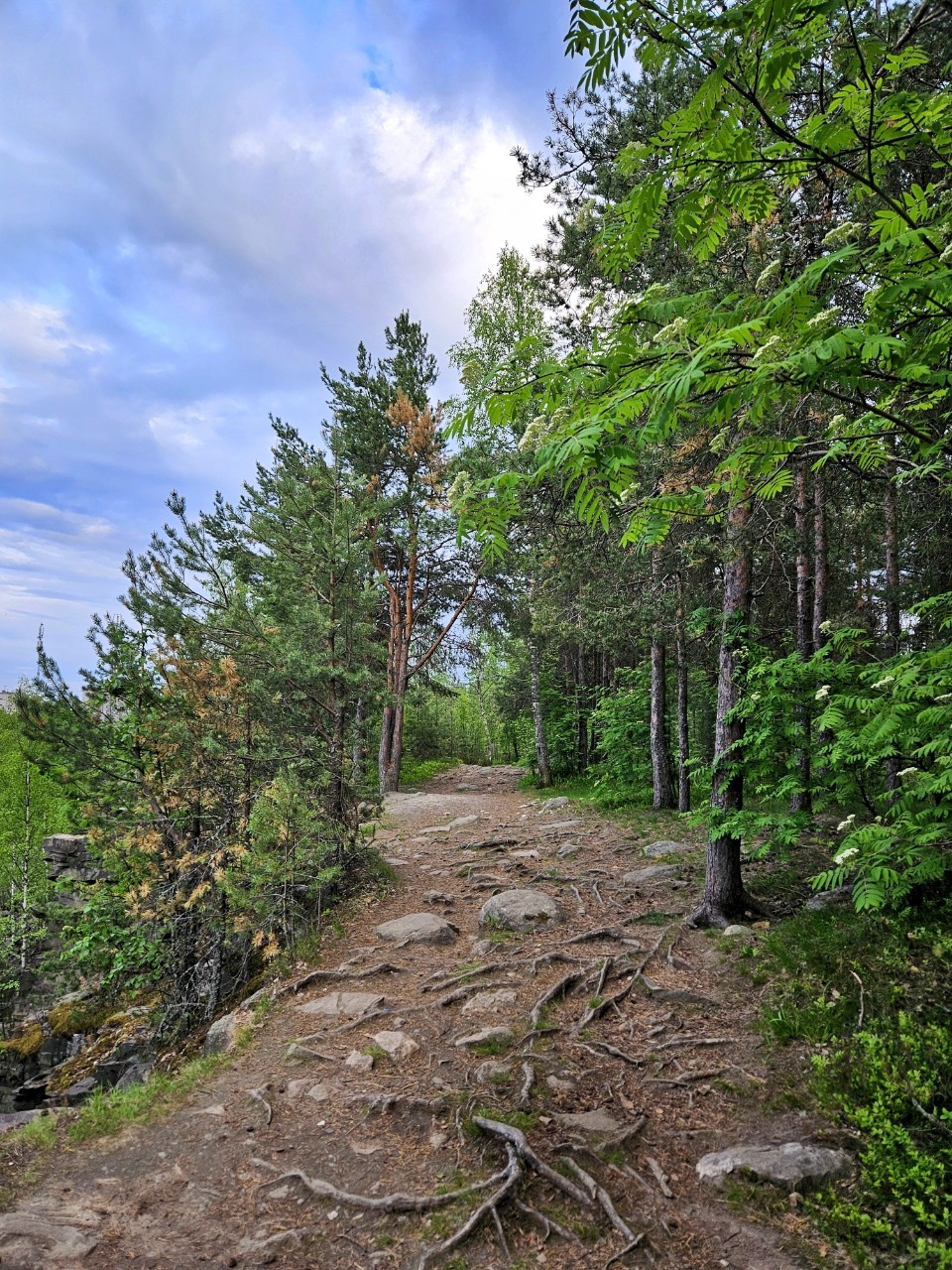 Виктор в LOOKY. #лето
#карелия,#karelia,#karjala,#живувкарелии,#летовпетрозаводске
#petroskoi,#petrozavodsk,#петрозаводск,#природа,#природакарелии,#photonature,#naturephoto
#looky,#looky_official,#LOOKY_контент,#looky_you,#you,#looky_топ. Карелия🌲Karjala
#ле...