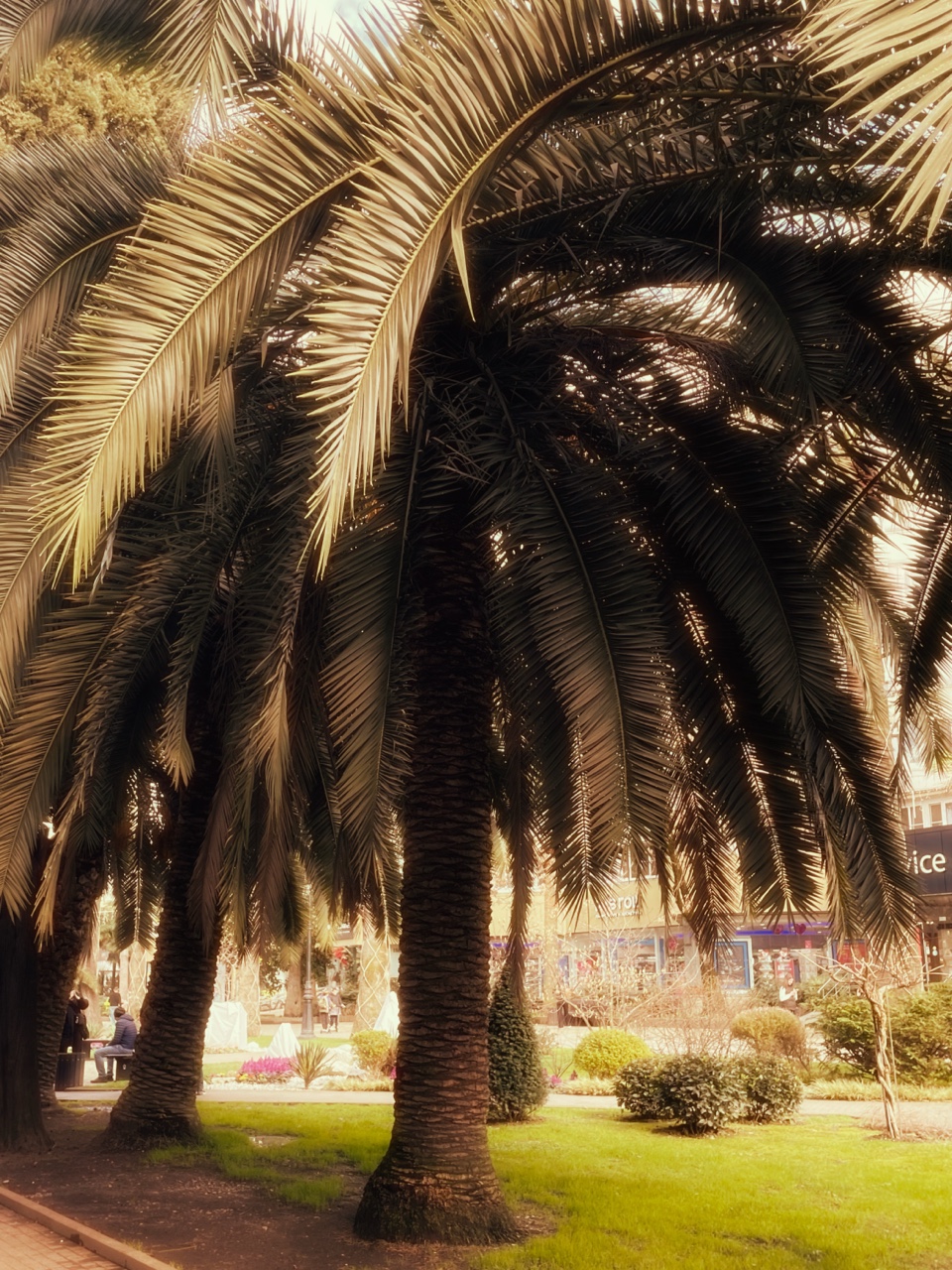 jene_vaa в LOOKY. #МежсезоньеВКайф,#LuxuryLife,#ПутешествияСЛюбимым,#ЭстетикаЖизни,#Перезагрузка,#МояЖизньМоиПравила,#Саморазвитие,#Вдохновение,#ЛичныйБренд,#DisruptiveIcon,#ОтношенияСМечтой,#ЖенщинаКотораяЗнает. Сочи. Межсезонье. Пе...