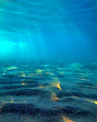 masstered_daos в LOOKY. . 