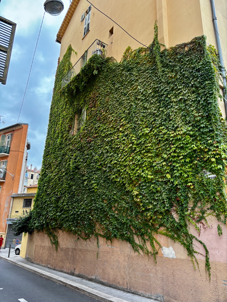 archizelig в LOOKY — Ковры оказывается бывают не только на стенах, но и вне стен 