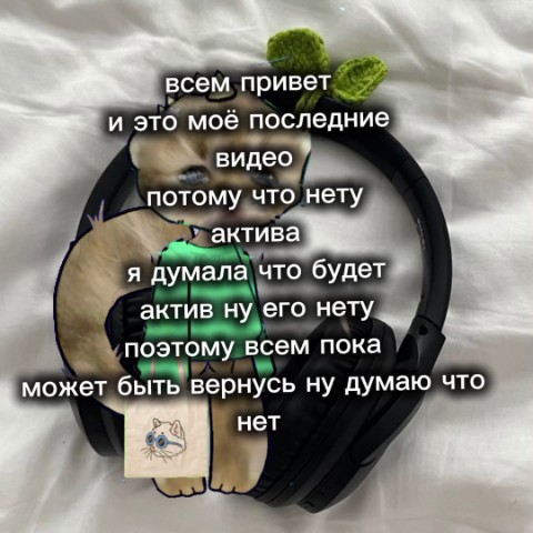 Котикс ушлаXS in LOOKY. . 