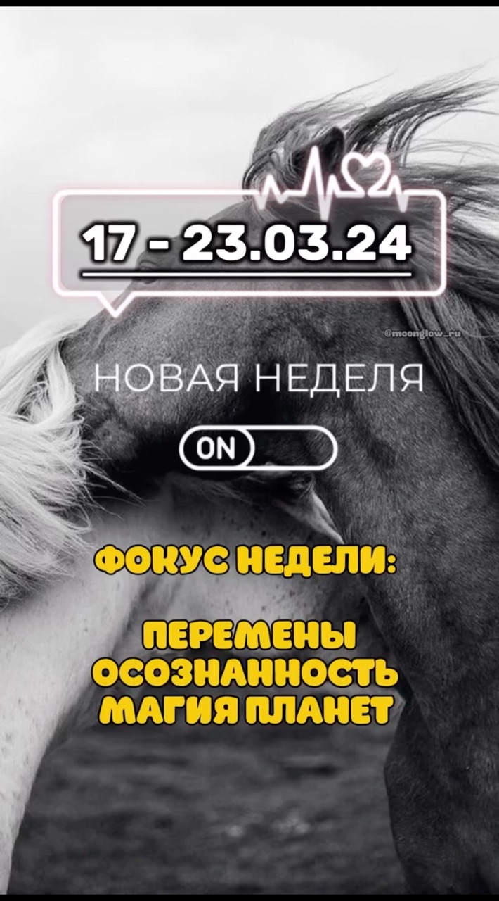 moonglow_ru в LOOKY. #астропрогноз2025,#гороскопнанеделю,#лунныйкалендарь,#затмения2025,#весеннееравноденствие,#весна2025,#ретроградныймеркурий,#прожизнь,#ретрограднаявенера,#отношения,#финансы,#эстетика,#актуальное,#знакизодиака,#магнитныебури,#астрологияроссия,#космоэнергетика,#ритуалынаудачу,#судьбоносныерешения,#секретыуспеха,#какзагадатьжелание,#трендывесны,#услугиастролога,#москвасейчас. ⚠️Эта неделя — время...