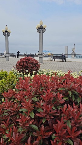 Краснодарский край in LOOKY. #анапа,#anapa,#весна,#море,#черноеморе,#атмосфера,#краснодарскийкрай,#krasnodarregion. Анапа сейчас — это о...