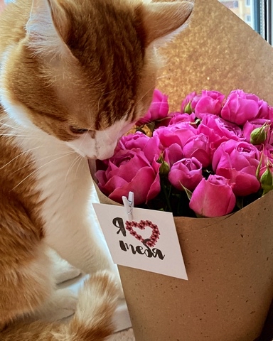 LARA в LOOKY. . ❤️❤️❤️🌸🌸🌸