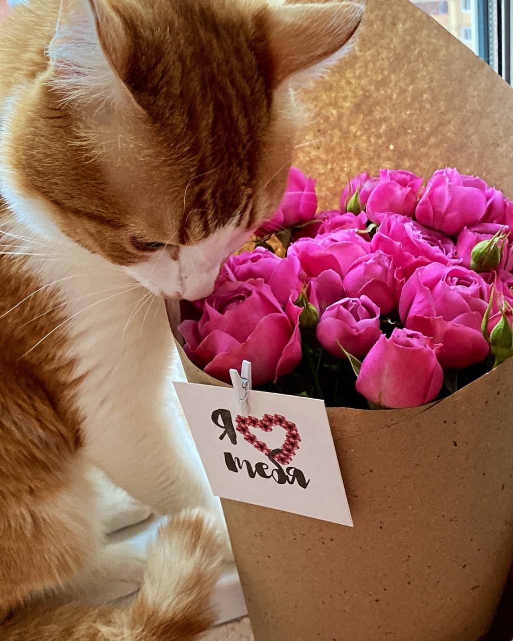 Looky_1679897271944 в LOOKY — ❤️❤️❤️🌸🌸🌸