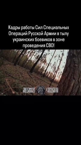 Looky_1721217575188 в LOOKY. . Кадры работы Сил Спе...