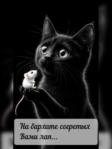 ivabramova в LOOKY. #любовная_лирика,#кот,#ТайныеСтроки_напарнасе. Растерянные дети 

К...