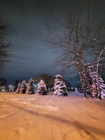 С Вами LENA KOTOVA в LOOKY. #nature,#goodtime,#krasnodar,#kotovaart,#artphoto. ❄️🤍 beautiful eveni...