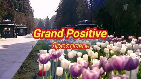 АЛЕКСЕЙ ГОЛОВИЦЫН ЯРОСЛАВЛЬ в LOOKY. . «Grand Positive» Яро...