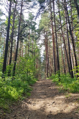 Marini_life в LOOKY. . Просто хорошо. Прост...