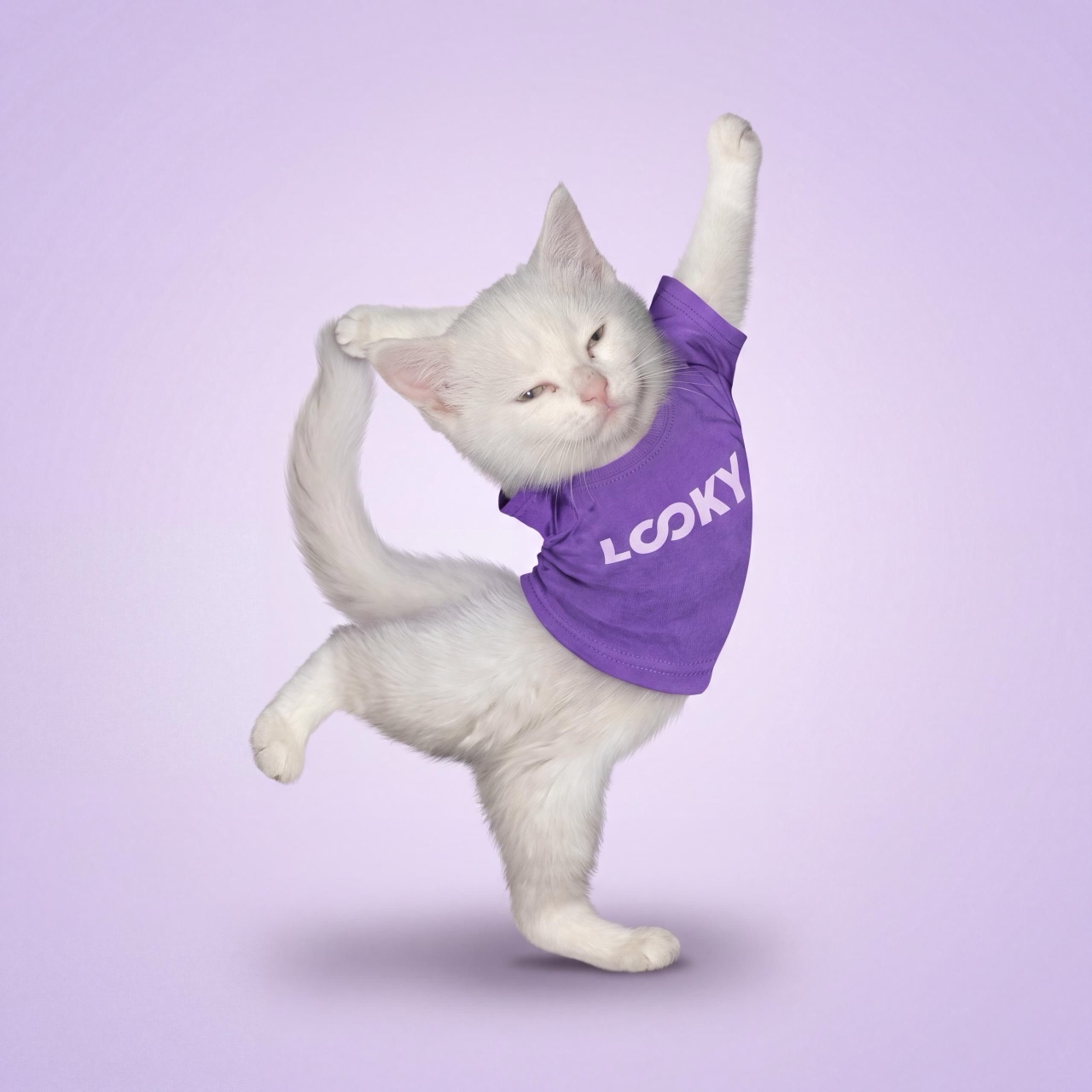 LOOKY_official in LOOKY