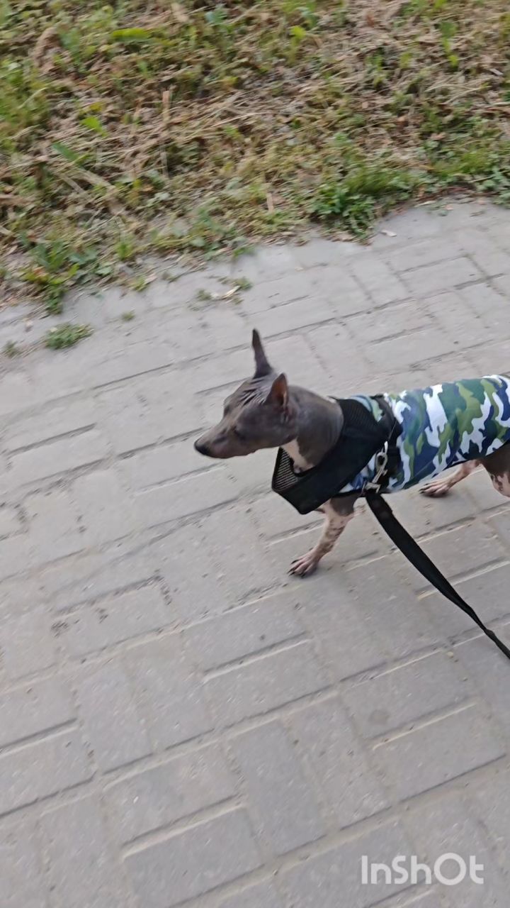 Аleks в LOOKY — публикация