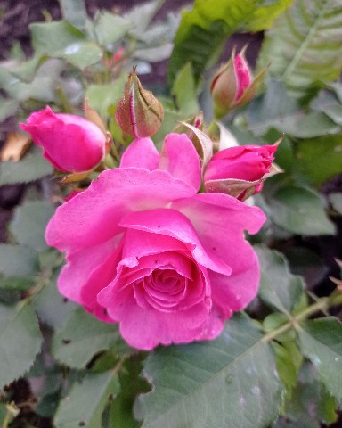 Елена в LOOKY. . Наконец то настал до...
