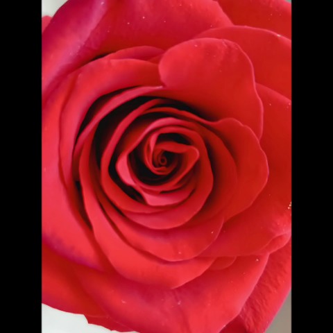 Art_mandala_22 в LOOKY. . 