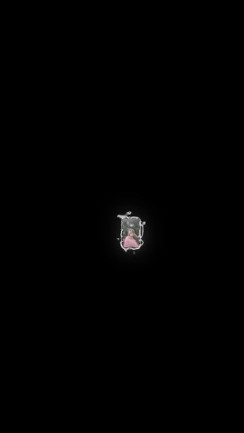 RUSSIAN_PANTHER в LOOKY — Хочу подписочку от ритыыы