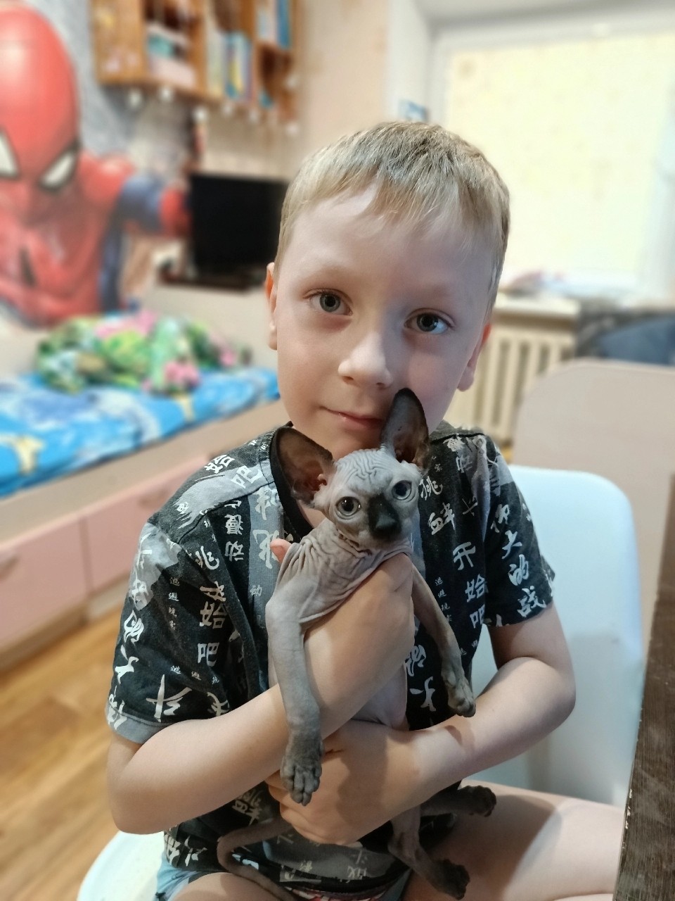 oksana_tm_relax в LOOKY — #хвостатый_друг
Наш маленький сфинкс. Локи подрос и сейчас о