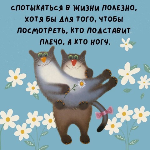 Looky_1684251408445 в LOOKY. #жизнь,#юмор. #жизнь#юмор