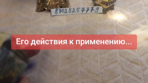 svetlanazaryanova1