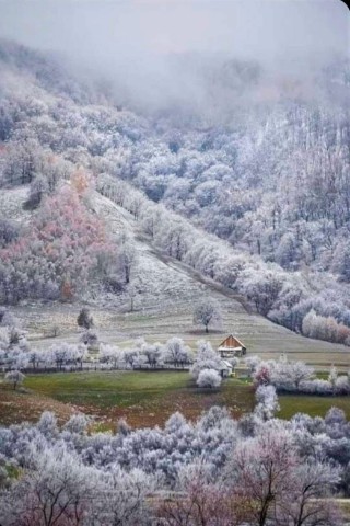Александр в LOOKY. . Автор: Alvard Baghda...