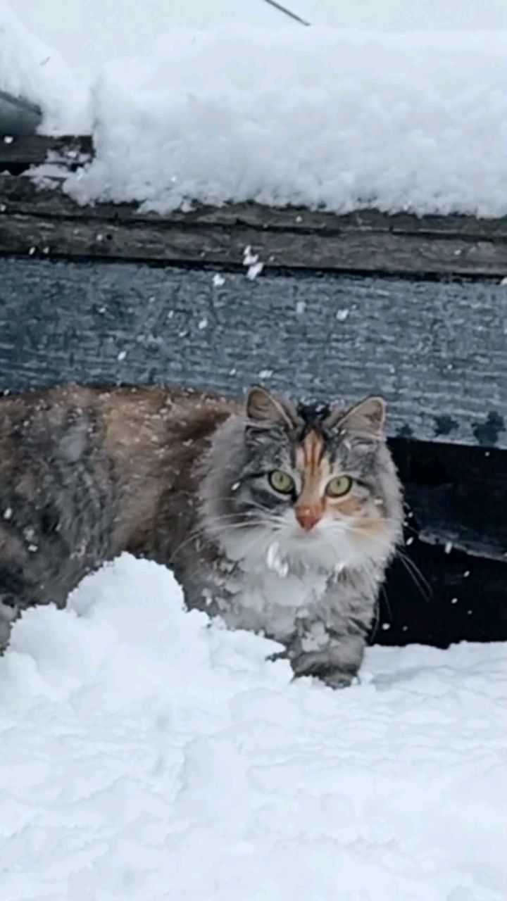 Оксана in LOOKY. . ЗИМУШКА✨