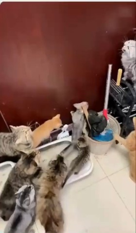 Лев Пудкевич в LOOKY. . 