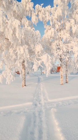 jenia2121 в LOOKY. . Доброе утро