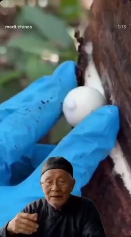 Айсылу в LOOKY. . 