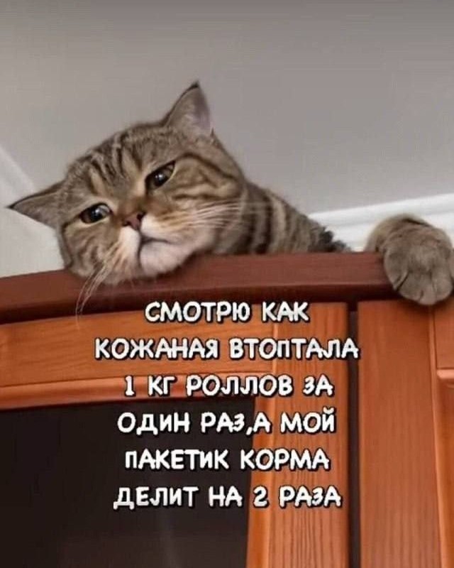 Паловна Ольга в LOOKY — публикация