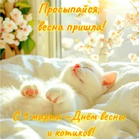 Анна_Крымская в LOOKY. . С днем Весны и котик...