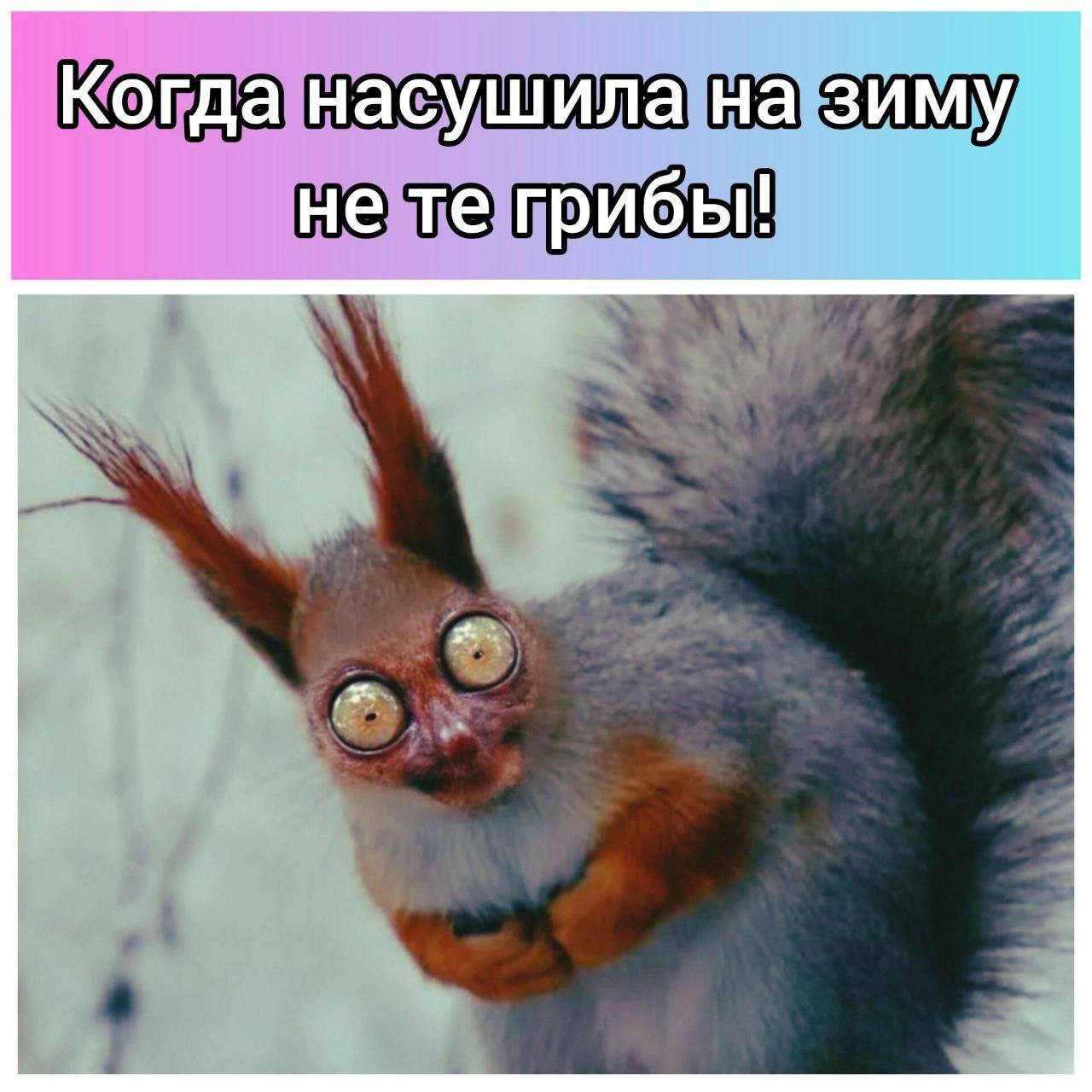 Костя Пакистан in LOOKY. . 👍👍👍🔥