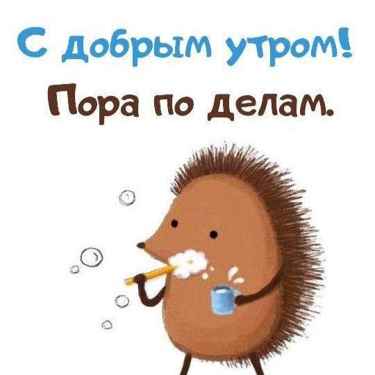 Looky_Macsen в LOOKY — #утро #май #день #дела