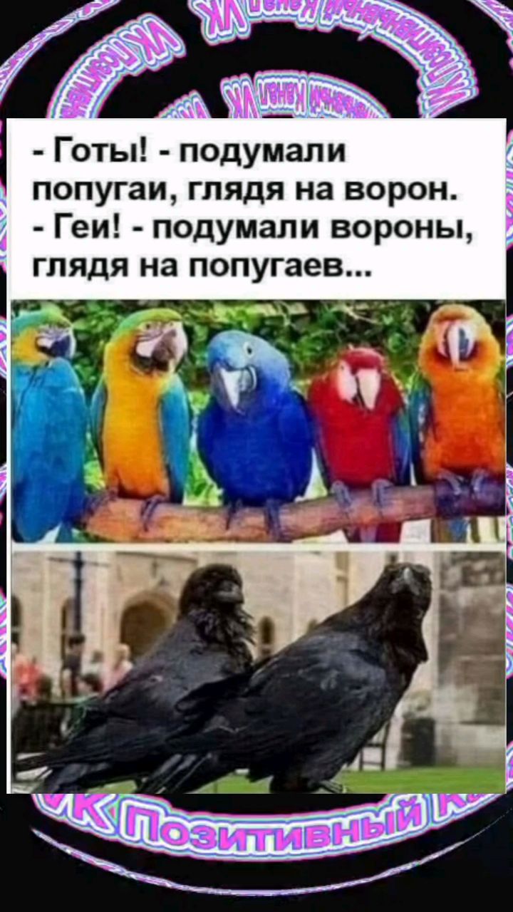 Looky_1722596293300 в LOOKY. #анекдот,#юмор,#прикол,#смех,#позитив,#ржака,#мем,#шортс,#шутки,#юмор. Готы и геи) #анекдот...