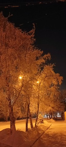 Этот год был моим годом! Подобное происходит раз в 60 лет, год Чёрного Водяного Зайца.
 Много всего произошло...
  И если начинать с самого начала 2023 года, то это конечно же появление в моём доме двух пушистых очаровашек, которым на сегодня подчинён весь мой распорядок дня. С удовольствием что -то постоянно благоустраиваю. И приходя домой, с удовольствием слышу курлы кулы моих "пацанов".
  
А ещё со мной случилось знакомство с прекрасной  психологом - расстановщиком,  которая открыла для меня ещё один психологический метод работы.  В нём я участвовала и в качестве заместителя, и в качестве клиента. В результате работы я смогла сделать массу интересных открытий.  Со мной произошли неожиданные трансформации. В том числе и в моей профессиональной деятельности.

Апогеем года стало конечно же моё путешествие в Тай. Я впервые осознанно поехала просто отдыхать!
 Для меня это стало Событием! Решительным ответственным шагом.
  Я за свои 60 лет ни разу не ездила. просто вот так вот  отдыхать. Чтобы  не к родственникам, ни с родственниками, а просто так сама по себе. В обществе подруги поехала в Отпуск и кайфанула!

В общем год удался!
Я ему очень благодарна и с удовольствием строю планы на Новый 2024 год

Я поздравляю вас с наступающим годом зелёного деревянного дракона! 
Пусть Новый год принесёт новые впечатления, новые идеи, новые планы, новые знакомства, новые трансформации!

Будьте счастливы! 

Любви вам здоровья и мира!