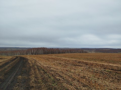 chertenok.tdv в LOOKY. . Осень в Тогульском р...