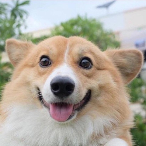 Looky_1700539161800 в LOOKY. . 